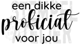 een dikke proficiat voor jou 5-29x3cm copy